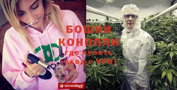 молекула духа Рославль