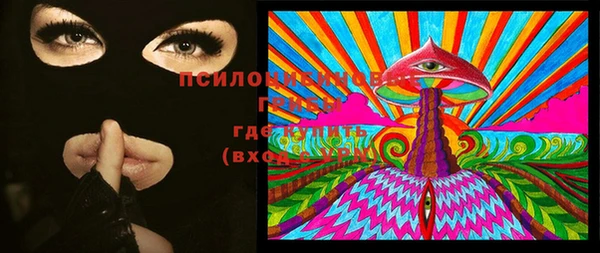 ПСИЛОЦИБИНОВЫЕ ГРИБЫ Россошь
