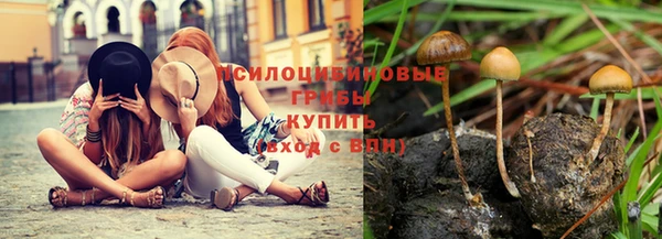 молекула духа Рославль