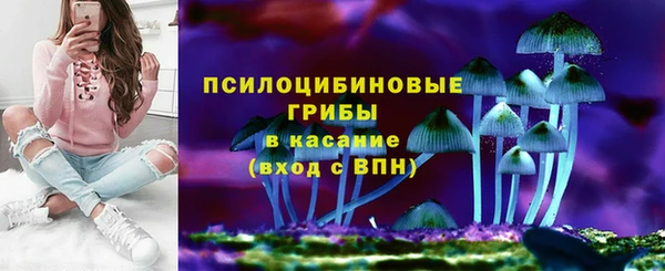 ПСИЛОЦИБИНОВЫЕ ГРИБЫ Россошь