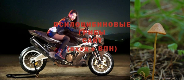 молекула духа Рославль